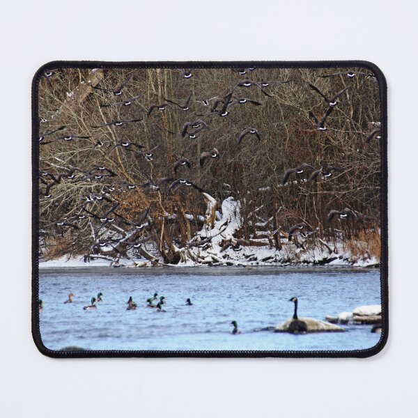 Item preview, Startled Geese In Flight designed and sold by Debbie Oppermann.