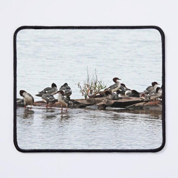 Item preview, Ladies Only designed and sold by Debbie Oppermann.