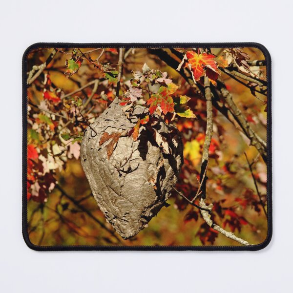 Item preview, Natural Architecture designed and sold by Debbie Oppermann.