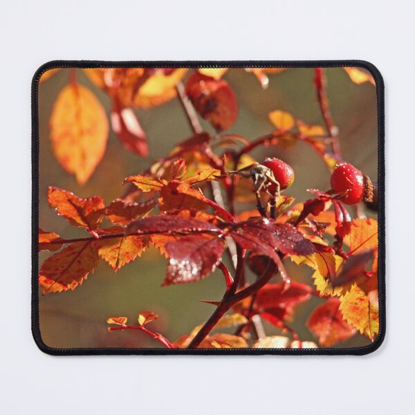 Item preview, Autumn Wild Rose Hips designed and sold by Debbie Oppermann.