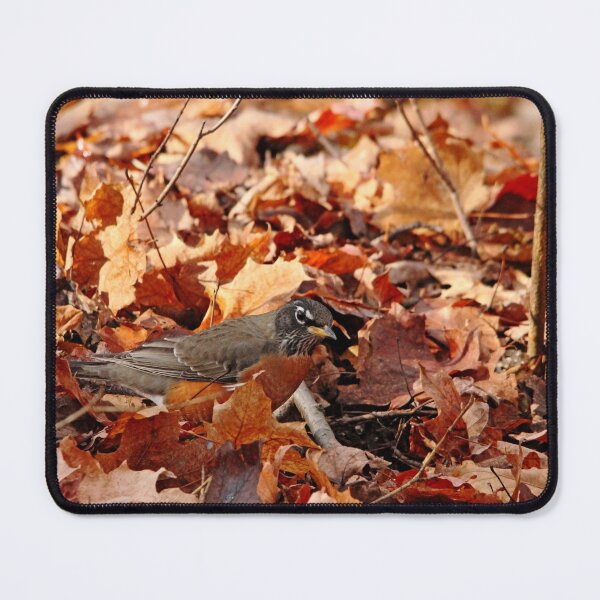 Item preview, Robin Playing In Fallen Leaves designed and sold by Debbie Oppermann.