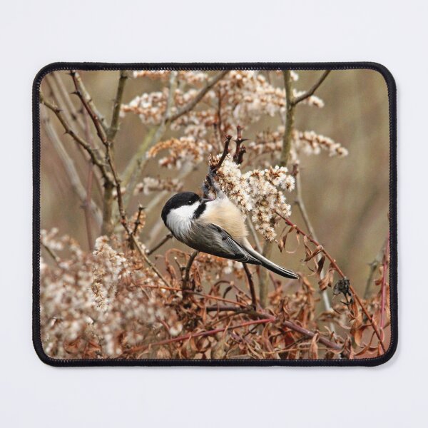 Item preview, Fall Harvest Chickadee designed and sold by Debbie Oppermann.