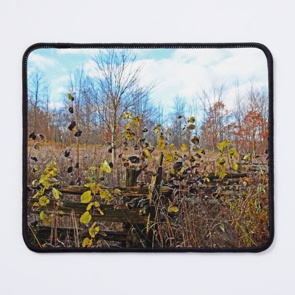 Item preview, Autumn In November designed and sold by Debbie Oppermann.