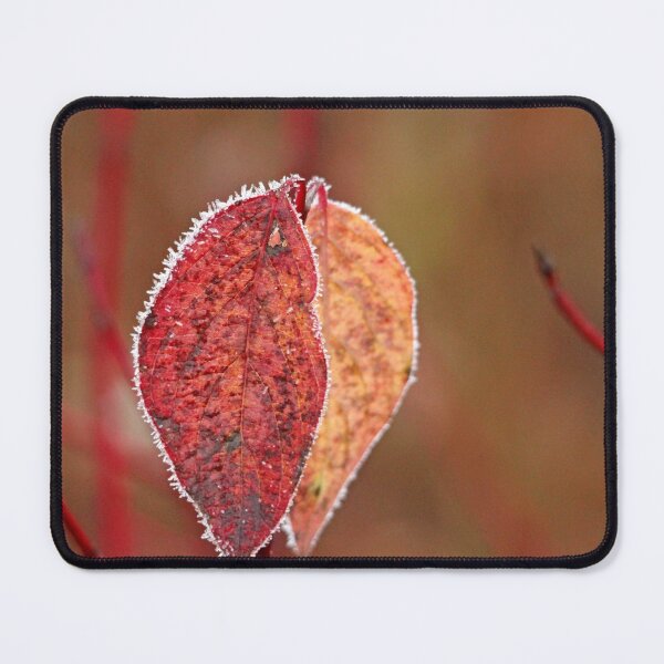 Item preview, Frosty Autumn Dogwood designed and sold by Debbie Oppermann.