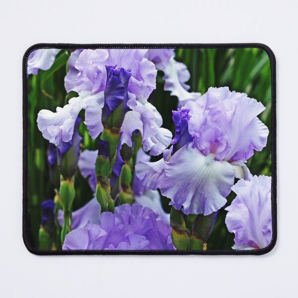 Item preview, The Iris Blues designed and sold by Debbie Oppermann.