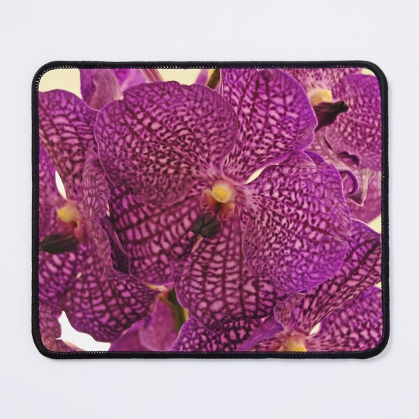 Item preview, Vanda Orchid Elegance designed and sold by Debbie Oppermann.