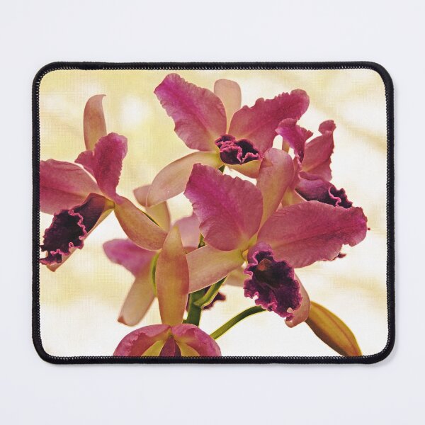 Item preview, Queen Of Orchids designed and sold by Debbie Oppermann.