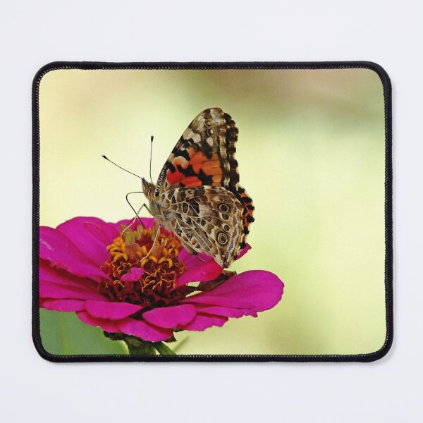 Item preview, Painted Lady On Pink Zinnia designed and sold by Debbie Oppermann.