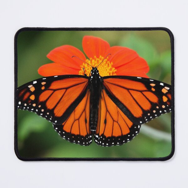 Item preview, With Wings Wide Open designed and sold by Debbie Oppermann.