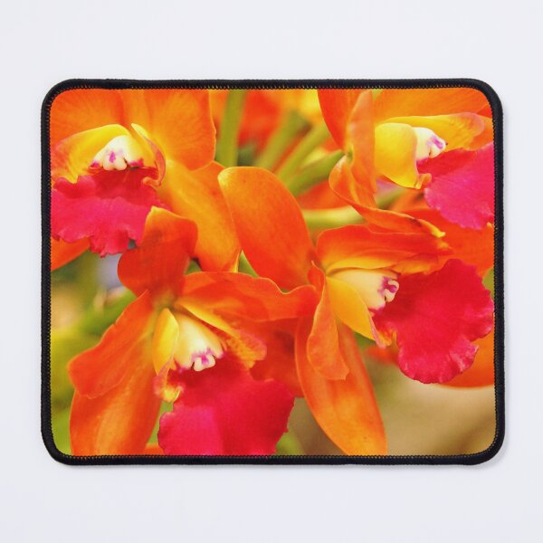 Item preview, Orange Cattleya Orchid designed and sold by Debbie Oppermann.