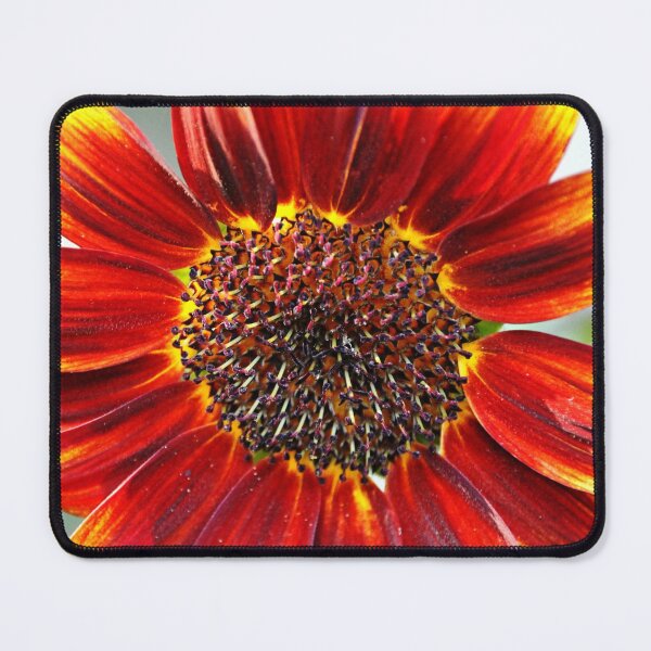 Item preview, Autumn Sunflower designed and sold by Debbie Oppermann.