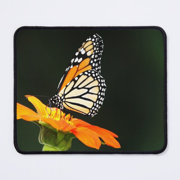 Item preview, Monarch On Tithonia designed and sold by Debbie Oppermann.
