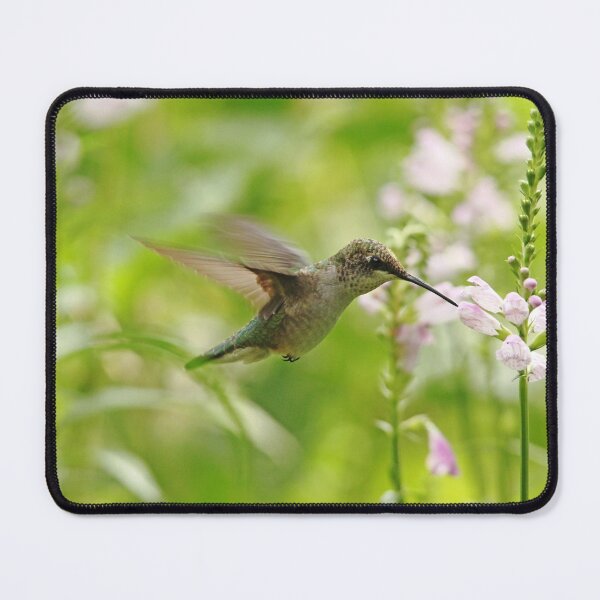 Item preview, Hummer And Obedient Plant designed and sold by Debbie Oppermann.
