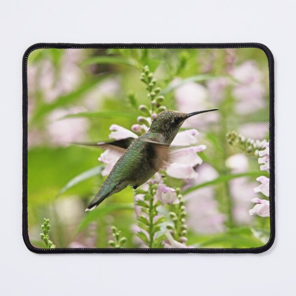 Item preview, In The Obedient Garden designed and sold by Debbie Oppermann.