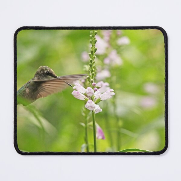 Item preview, Obedient Attraction designed and sold by Debbie Oppermann.