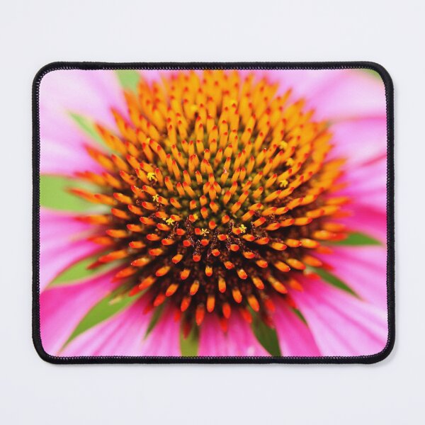 Item preview, Hedgehog Coneflower designed and sold by Debbie Oppermann.
