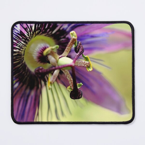 Item preview, Purple Passion Flower designed and sold by Debbie Oppermann.