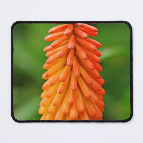 Torch Lily Mouse Pad