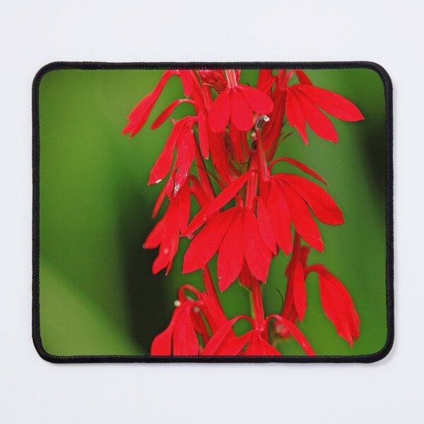 Item preview, Scarlet Lobelia designed and sold by Debbie Oppermann.
