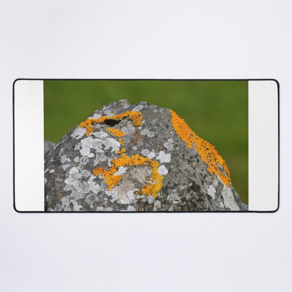 Golden Lichen on a grey stone. Desk Mat