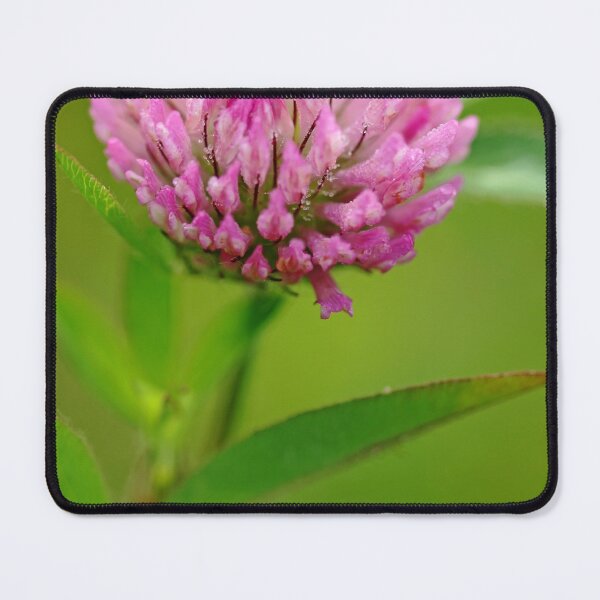 Item preview, Red Clover designed and sold by Debbie Oppermann.