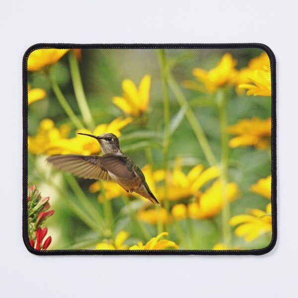 Item preview, Hummer In Summer Garden designed and sold by Debbie Oppermann.