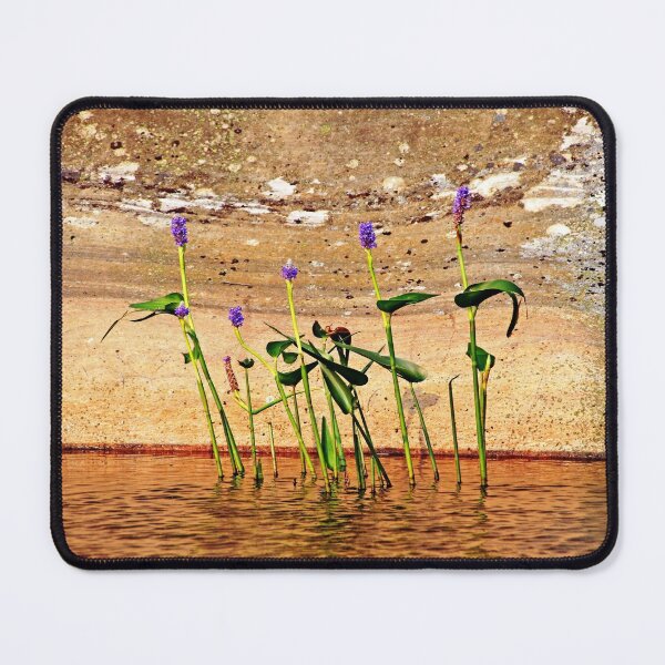 Item preview, Showcasing Pickerel Weed designed and sold by Debbie Oppermann.