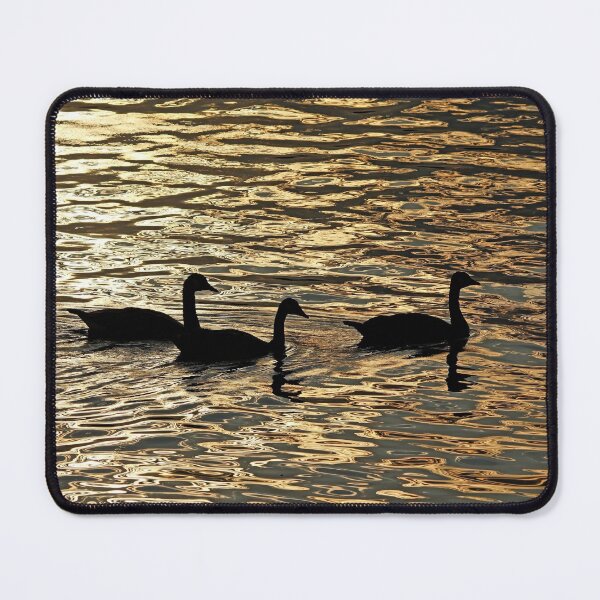 Item preview, Canada Geese At Sunrise designed and sold by Debbie Oppermann.