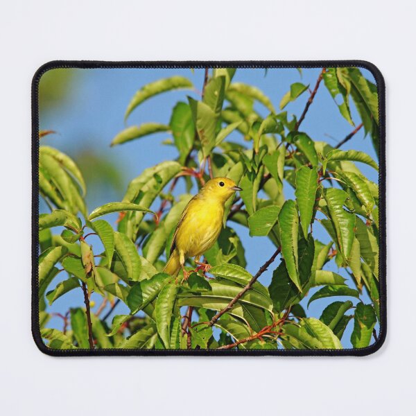 Item preview, Yellow Splash designed and sold by Debbie Oppermann.