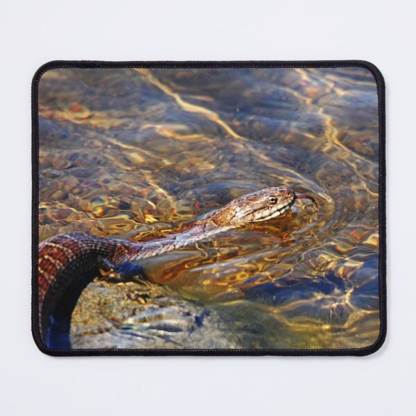 Item preview, Northern Water Snake Tongue Sensor designed and sold by Debbie Oppermann.