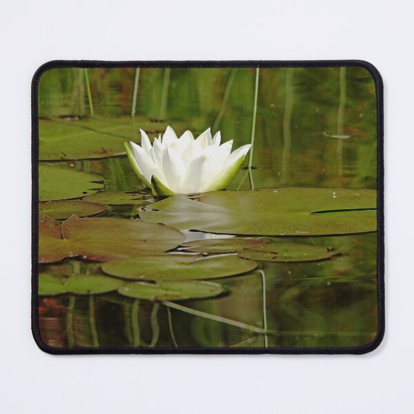 Item preview, Nymphaea Alba designed and sold by Debbie Oppermann.