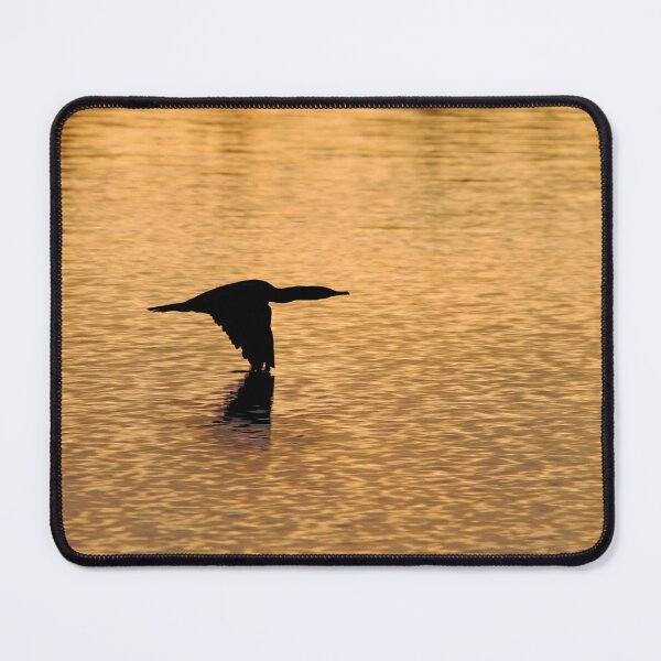 Item preview, Cormorant At Sunrise designed and sold by Debbie Oppermann.