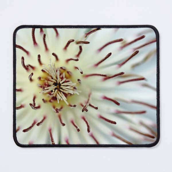 Item preview, White Clematis In Abstract designed and sold by Debbie Oppermann.