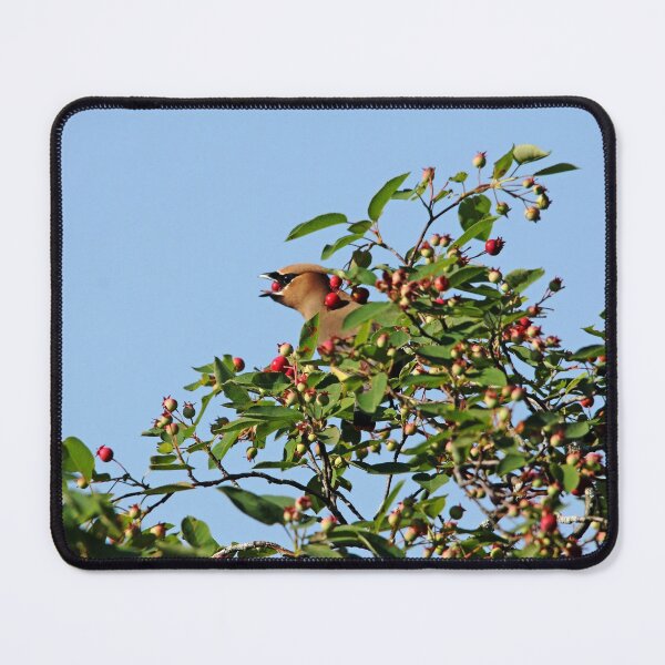 Item preview, Feast Fit For A Waxwing designed and sold by Debbie Oppermann.