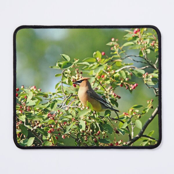 Item preview, Waxwing Heaven designed and sold by Debbie Oppermann.
