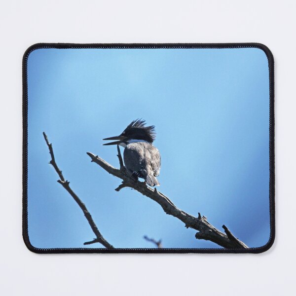Item preview, Belted Kingfisher designed and sold by Debbie Oppermann.