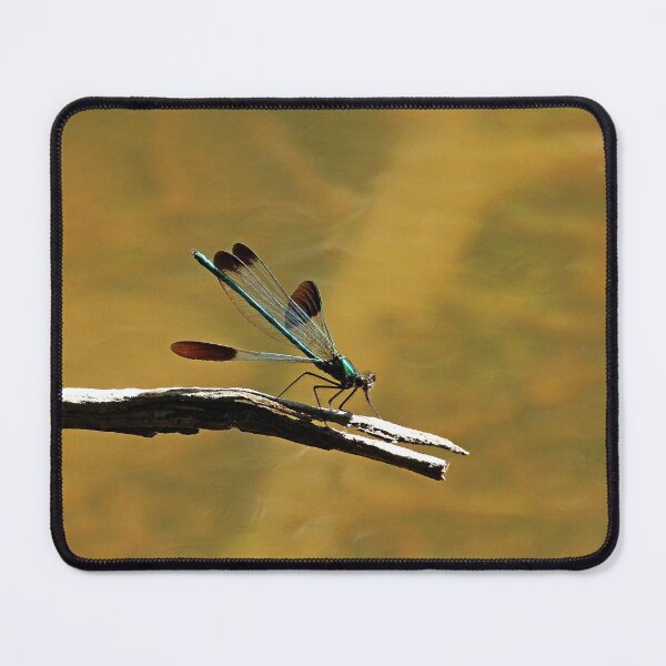Item preview, River Jewelwing designed and sold by Debbie Oppermann.