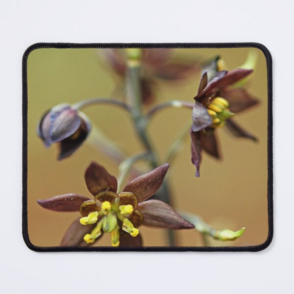 Item preview, Green Flowered Blue Cohosh designed and sold by Debbie Oppermann.