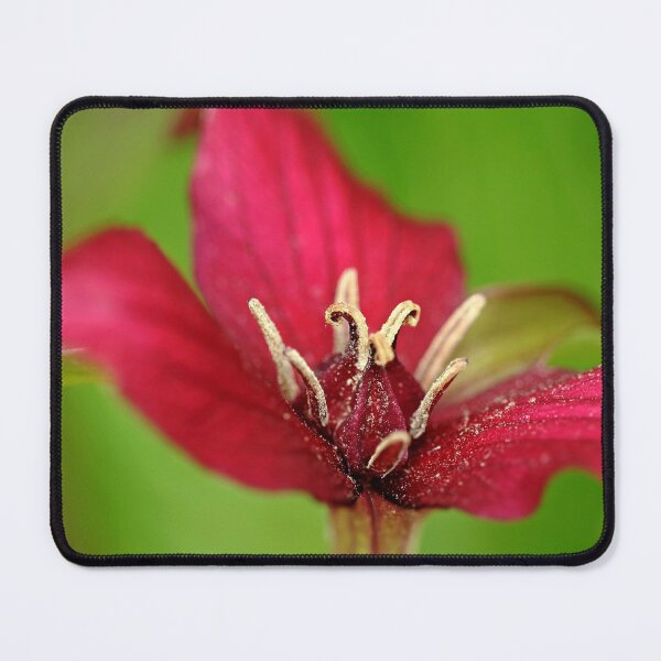 Item preview, Red Trillium Heart designed and sold by Debbie Oppermann.