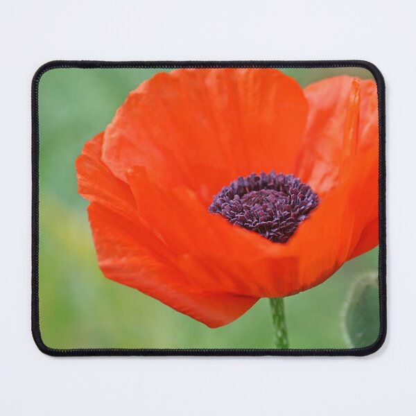 Item preview, Poppy Red designed and sold by Debbie Oppermann.