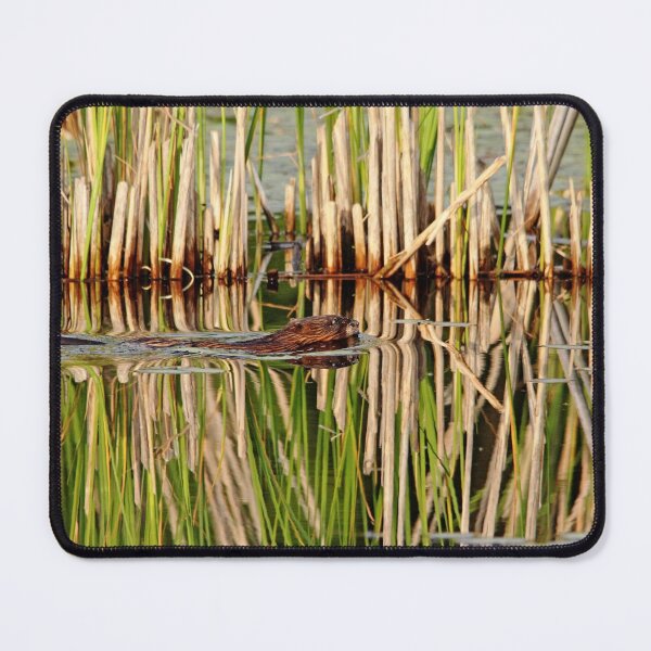 Item preview, Muskrat And Cattails designed and sold by Debbie Oppermann.