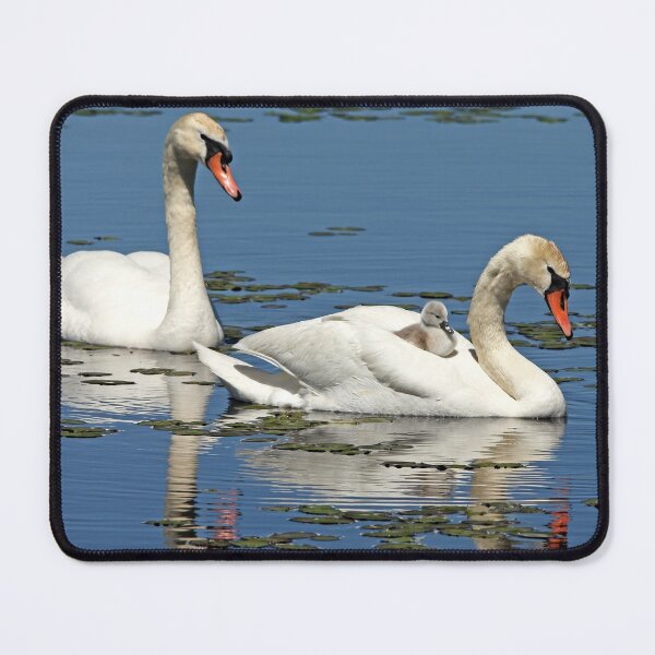 Item preview, Hitching A Ride designed and sold by Debbie Oppermann.