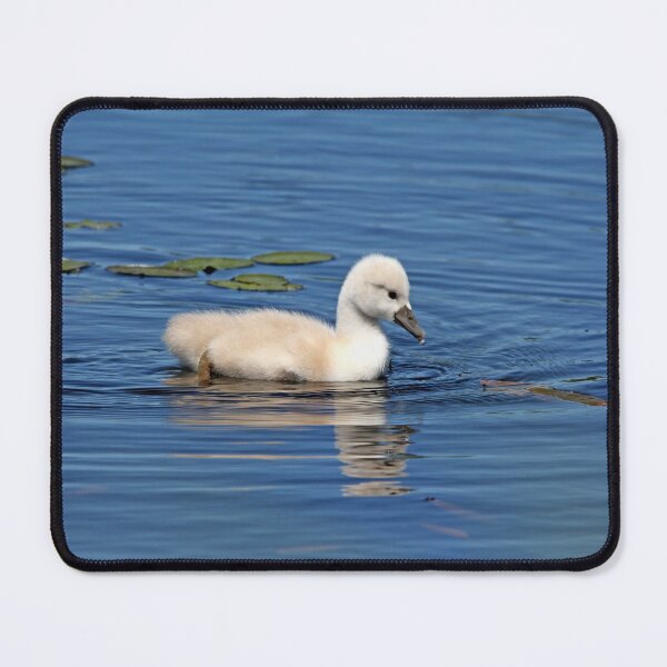 Item preview, Precious designed and sold by Debbie Oppermann.
