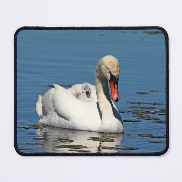 Item preview, Comfy designed and sold by Debbie Oppermann.