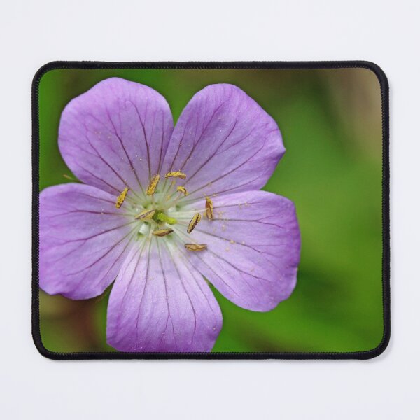 Item preview, Spotted Cranesbill designed and sold by Debbie Oppermann.