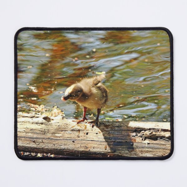 Item preview, Shake It Off designed and sold by Debbie Oppermann.