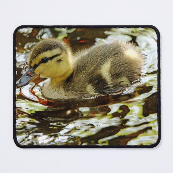 Item preview, Dabbling Duckling designed and sold by Debbie Oppermann.
