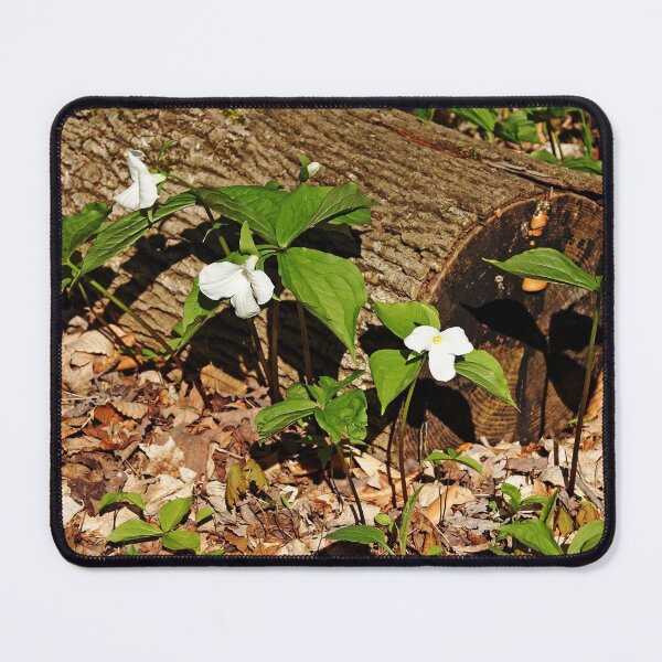 Item preview, White Trilliums designed and sold by Debbie Oppermann.