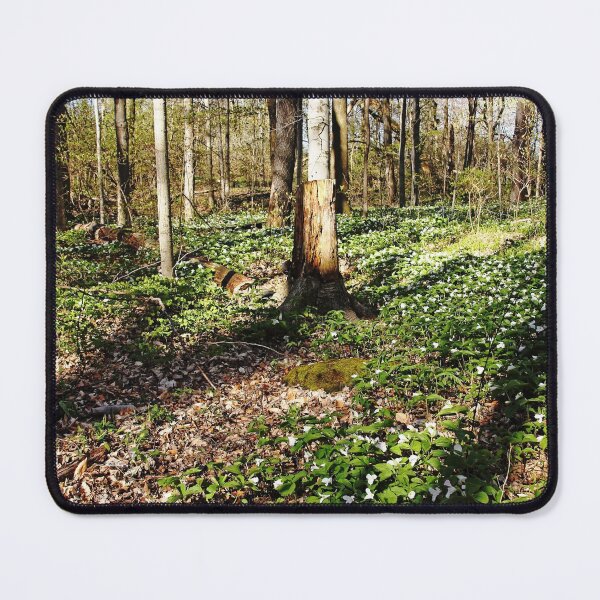Item preview, Trilliums Galore designed and sold by Debbie Oppermann.