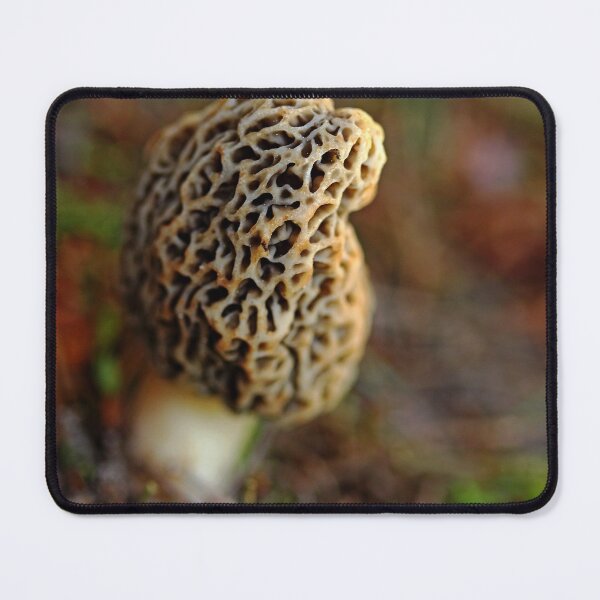 Item preview, Nature's Little Treasure designed and sold by Debbie Oppermann.